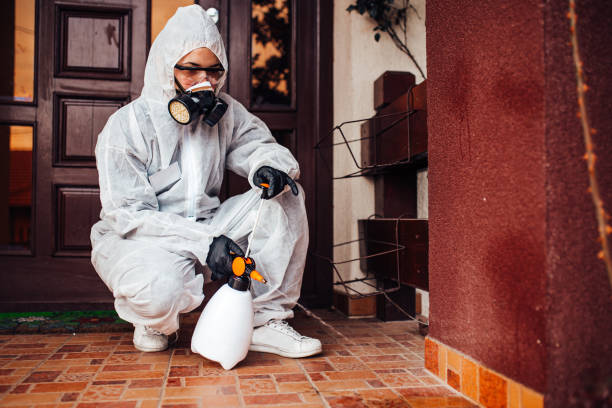 Attic and Crawl Space Rodent Treatment in Gold River